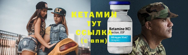твердый Бородино